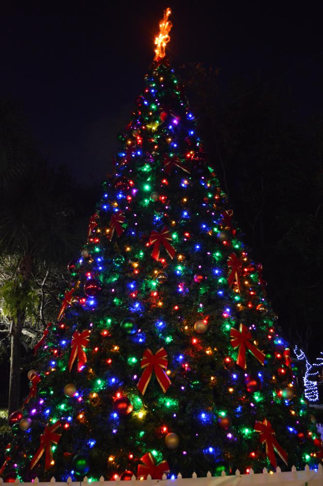 Tree Lighting 2014 38